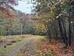 Rare Opportunity on Little Ireland Road. 14 Acres in Livingston Manor Imagine building your dream home, or even two, on 14 lightly wooded acres in the heart of the Sullivan Catskills. This property offers the perfect blend of privacy, natural beauty, and convenience, with easy access to hiking, fishing, kayaking, and all the outdoor adventures the region is known for. You can also join the local lake club for nearby lake access for a small fee. What makes this opportunity even more unique is the taxation benefit: thanks to an easement arrangement, the lessee of a small portion of the property covers the taxes on the land and does most of the maintenance on the driveway. That means youâ€™d only be responsible for taxes on your home once itâ€™s built. Located in Livingston Manor, NY, this is a rare chance to create the lifestyle youâ€™ve been dreaming of. Call today before itâ€™s gone