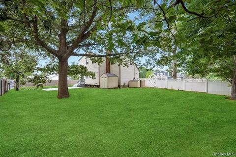 Yard