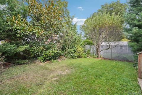 Yard