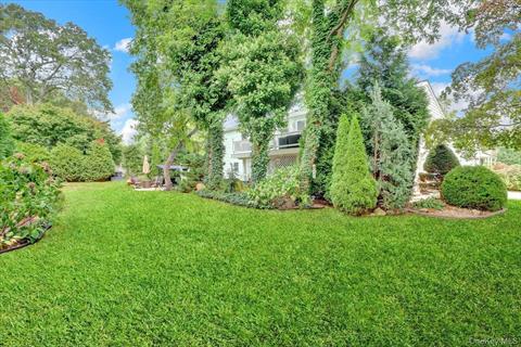 Yard
