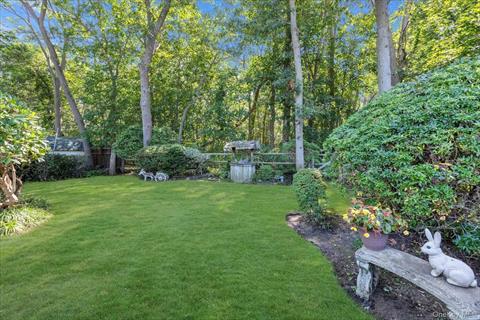 Yard