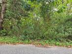 Vacant land with approved plans for a new 2 story, 4 bedroom single family house, new driveway and new subsurface sanitary system.