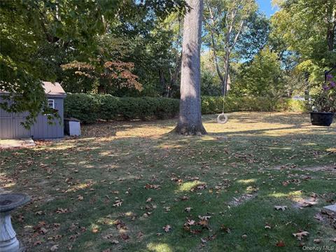 Yard