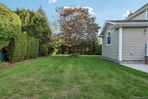 Yard