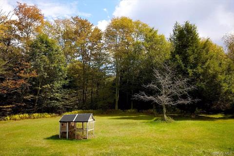 Yard