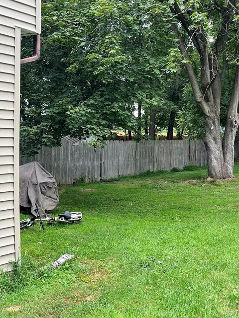 Yard