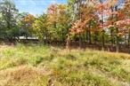 A slice of Hudson Valley beauty. This beautiful acre and a half of land offers the perfect place to bring your dream home to life. Tucked away just minutes from downtown Nyack and the Mario Cuomo Bridge, it combines peaceful nature with everyday convenience. The property backs up to Buttermilk Falls Park and the scenic Blue Trail, giving you direct access to the scenic hikes and breathtaking views all year round. Imagine waking up to the sound of birds, exploring the trails from your own backyard, and still being only moments from Nyack&rsquo;s charming shops, riverfront and dining. A truly special spot to build the home you&rsquo;ve always imagined.
