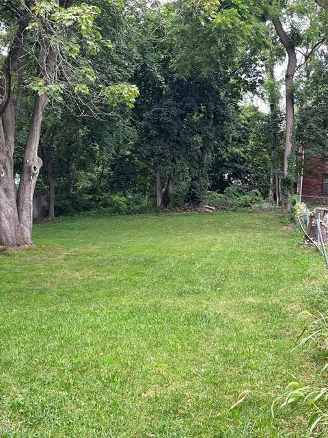 Yard