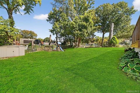 Yard