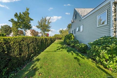 Yard