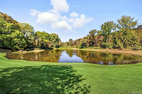 Pond
