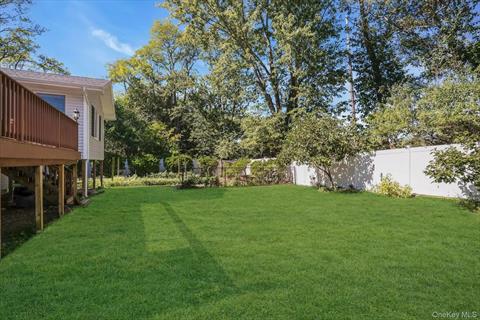 Yard