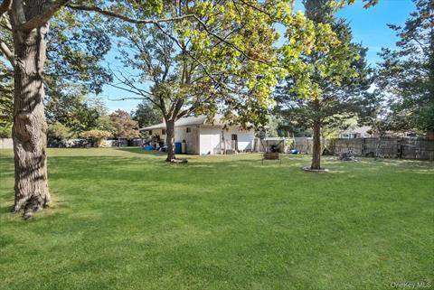 Yard