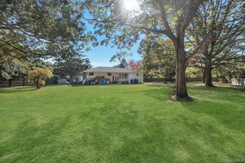 Yard