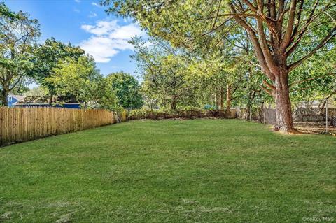 Yard
