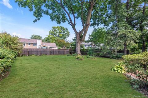 Yard