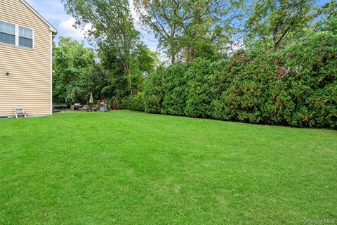 Yard