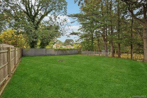Yard