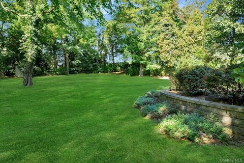 Yard