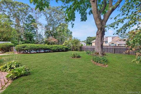 Yard
