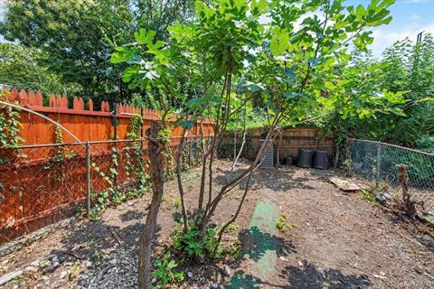 Yard