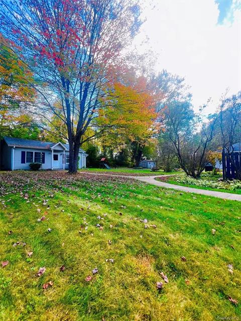 Yard