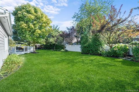 Yard