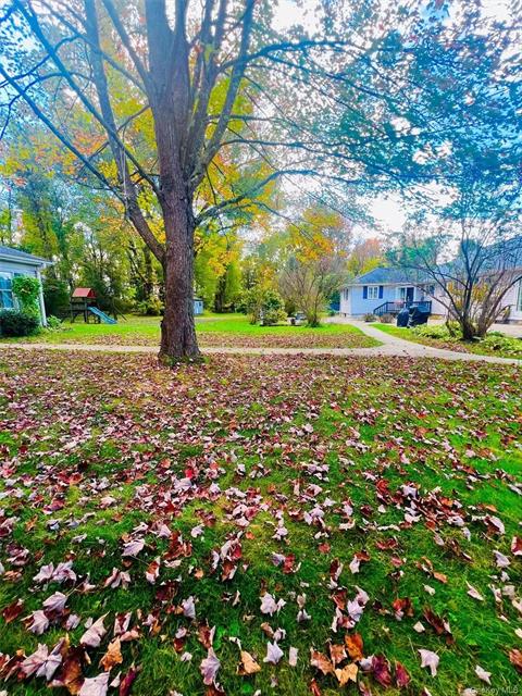Yard