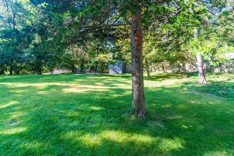 Yard