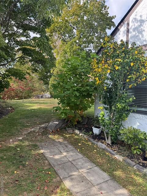 Yard