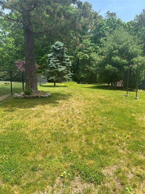 Yard