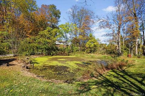 Pond