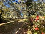 PLEASE READ - Owner selling opportunity to subdivide lot. Buyer responsible for all costs, including but not limited to variances, garage removal, and submission of plans to the town. Buyer assumes all risk of subdivision not being approved.