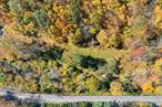 This is not just land; itâ€™s a feeling. A private stretch of Putnam Valley where the woods open just enough to let your imagination take root. If youâ€™ve been dreaming of building your own home surrounded by nature; not just a backyard, but real privacy and peace this 10.35-acre parcel on Wiccopee Road is THE ONE! The land sits in a quiet pocket of Putnam Valley, where you can actually hear yourself think. Drive up, and youâ€™ll find a gentle rise from the road that opens into a beautiful blend of trees and open space. The kind of landscape that immediately feels calm, inspiring, and full of opportunity. Itâ€™s the type of property that makes you start imagining where the driveway will curve, where the front porch will sit, and how the sunset will look from your kitchen window! Picture a modern farmhouse framed in glass and timber, or a minimalist retreat tucked among the trees. The elevation offers ideal sun exposure for solar efficiency, while the natural grade lends itself to a walk-out lower level or wraparound porch overlooking the woods. Whether your dream includes a firepit gathering spot, a garden, or a quiet pond, the land has the space and soul for it all. And when it comes to creating your own outdoor oasis the possibilities are endless. Think of a pool surrounded by natural stone, a patio with string lights, or a pergola where summer nights stretch on forever. With over ten acres to work with, you can design a space that feels like your own resort; private, peaceful, and perfectly in tune with its surroundings. Youâ€™re less than 15 minutes from the Taconic Parkway, under an hour to Manhattan, and close to local parks, lakes, and trails so you get total tranquility without being completely off the map. Whether youâ€™re planning your forever home, a weekend retreat, or simply investing in land that will only grow more valuable with time, this property is ready for your vision.