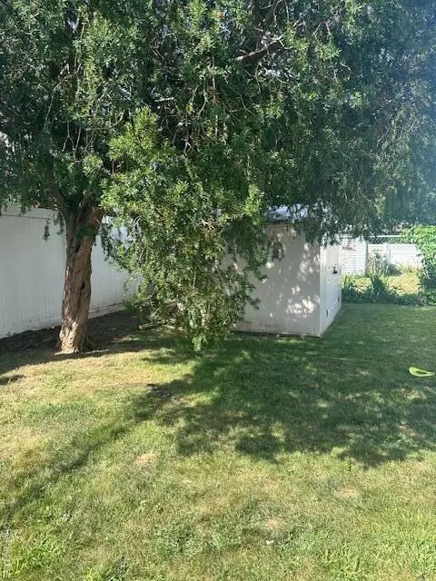 Yard