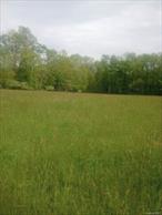 4900+feet road frontage on 3 roads, make this property for a single-family home, family compound, or a possible 16+ lot subdivision. The sale also includes 2 separate lots which make a combined acreage of 43+ acres. Lot size in the Town of Minisink for single family homes is 2 acres with 200 road frontages. There is an unfinished access road to the fields on Myers Road along with a road cut for future development. There is 837 feet on Rutgers Creek that is stocked every year with trout.