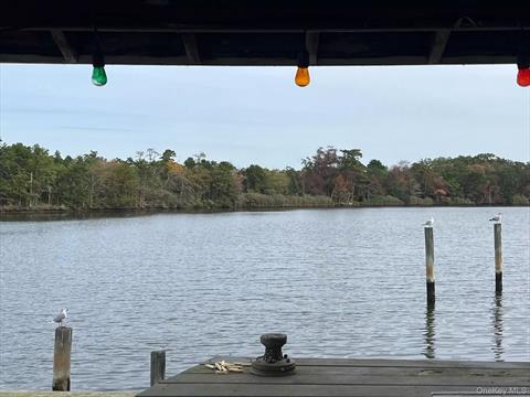 Dock