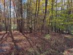 Sited on a quiet country road, this beautiful 1.99-acre parcel offers a peaceful and picturesque setting surrounded by nature. Once part of an old sheep farm, the property carries a touch of history and rustic charm. Backing up to the scenic Silver Hollow Creek, it provides a serene backdrop perfect for your dream home or weekend retreat. Conveniently located, minutes to the Village of Woodstock, hiking trails such as Overlook Mountain Trailhead and quaint shops and restaurants A survey is available, and markers are in place. Enjoy the tranquility of the countryside while being just a short drive to nearby conveniences.