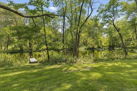 Pond