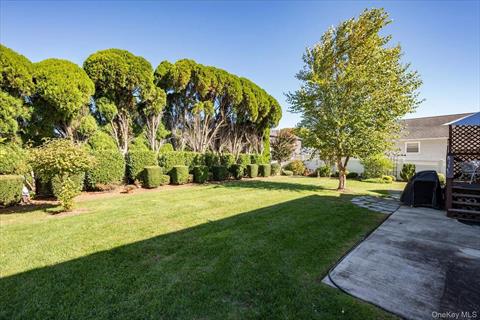 Yard