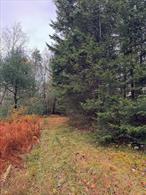 Motivated sellers . . . there is a mobile home on the property - The owners have not been able to visit the property in the last 10+ years and feel it&rsquo;s time to let someone else enjoy it as they did for many years. The land is secluded and wooded with a great location to build a home. There is a mobile home on the property - Please do not enter the property without an appointment with a Real Estate Agent.