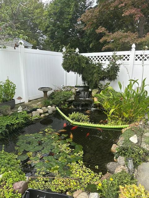 Pond