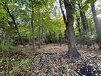 Discover a rare opportunity in the charming Village of Port Jefferson with this unique four-lot subdivision on residential zoned land. These four one-third acre parcels present an exceptional chance for builders, investors, or individuals dreaming of creating their perfect coastal retreat.Located in one of Long Island&rsquo;s most desirable North Shore communities, this property offers the best of both worlds â€“ small-town charm with modern conveniences at your fingertips. The lots come ready for development with utilities already positioned at the street front, eliminating the guesswork and additional costs typically associated with new construction projects.Port Jefferson&rsquo;s appeal extends far beyond its picturesque harbor views. This vibrant village seamlessly blends historic character with contemporary amenities, creating an atmosphere that residents and visitors alike find irresistible. Shopping enthusiasts will appreciate the proximity to local boutiques and essential services, while beach lovers can easily access the stunning Long Island Sound coastline not to mention the numerous Restaurants that appeal to your fussiest Foodie.The location provides excellent connectivity, with transportation options that make commuting convenient while maintaining that coveted suburban feel. Residents will value the access to quality educational facilities, including the well-regarded local high school system.Whether you envision building your dream home, developing multiple residences, or making a strategic investment in one of Suffolk County&rsquo;s most sought-after markets, this subdivision opportunity delivers flexibility and potential. The residential zoning allows for various development possibilities, making it an attractive option for those looking to capitalize on Port Jefferson&rsquo;s continued growth and enduring appeal.This is your chance to be part of Port Jefferson&rsquo;s story while creating something entirely your own.