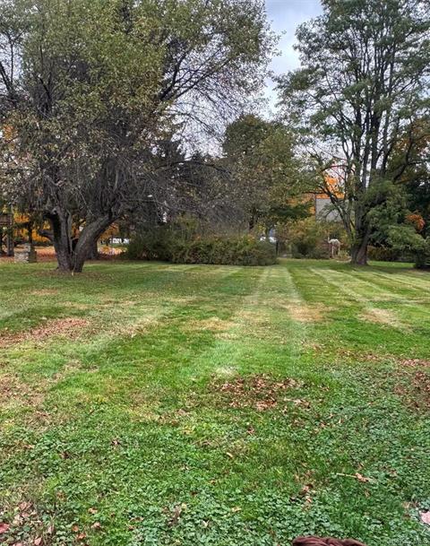Yard