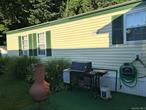 Walking Distance to Metro North Railroad, here is your chance to own a charming 3-bedroom, 2-full bathroom mobile home in tight-knit Wingdale Village. The screened in front porch leads to an open concept living room/kitchen combo - perfect for entertaining! This move-in ready home is waiting for you!!