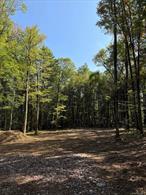 Shovel-Ready Narrowsburg Retreat â€” Build Your Catskills DreamReady when you areâ€”this shovel-ready Narrowsburg property combines scenic Catskills beauty with true build-ready convenience. Surrounded by whispering pines, open meadows, and timeless old stone walls, itâ€™s just minutes from the Delaware River and the charm of Main Street Narrowsburgâ€”offering the perfect balance of peace and connection.The essentials are already in place:â€¢ Well installedâ€¢ Approved septic designâ€¢ Driveway and electric on siteâ€¢ Architectural plansâ€”stamped and approvedâ€”for two separate buildings (choose one or build both!)This property is fully prepped and waiting for your visionâ€”whether thatâ€™s a full-time residence, a weekend escape, or an income-producing investment. With all the groundwork done, you can start building immediately.Just two hours from NYC, Narrowsburg is one of the Catskillsâ€™ most sought-after destinationsâ€”known for its creative energy, great dining, and natural beauty.A true turnkey opportunity in a thriving marketâ€”ready for you to break ground and begin your Catskills