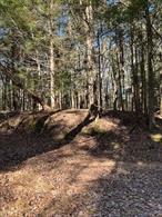 NEW: A rare opportunity to own land with lake front views.....Welcome to 198 Starlight Drive, a unique opportunity to own a piece of paradise in Smallwood, New York. This exceptional property spans 1.437 acres and offers breathtaking lakefront views, providing a serene backdrop for your dream home. Nestled off a quiet country road, this land ensures privacy and tranquility, with the added advantage of being a buffer zone where no further construction will occur. The property is equipped with an electric pole installed by NYSEG, eliminating a significant hurdle in the development process. This feature allows you to focus on designing and building your custom weekend retreat or permanent residence without delay. The potential to construct a garage-sized structure adds further versatility to this remarkable piece of land. 198 Starlight Drive is more than just a property; it is an invitation to a lifestyle enriched by the natural beauty and community spirit of Smallwood. Known for its peaceful environment and welcoming community, Smallwood offers a unique blend of privacy and neighborly engagement. Whether you envision a cozy cabin or a modern architectural masterpiece, this land provides the perfect canvas for your vision. Arrange a visit today to experience the magic of this land first hand. Discover the endless possibilities that await at 198 Starlight Drive, where your dream home can become a reality. This property is not just a place to live; it is a gateway to a lifestyle defined by nature&rsquo;s beauty and community warmth. Make it yours and embrace the exceptional living experience that Smallwood offers.